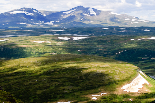 Spot 1.500 reindeer, Mittåhamra, Sweden.