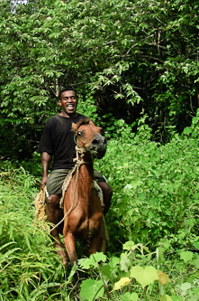 Found in the wild, Nakavika, Fiji.