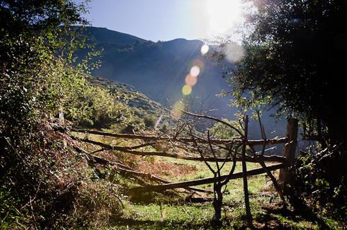 Fence post, Oseja de Sejambres, Spain.