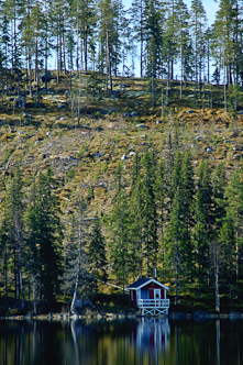 The power of forestry, Trehörningsjö, Sweden.