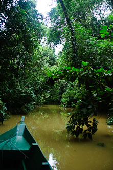 Meandering days, Kinabatangan, Borneo, Malaysia.