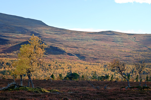 There is still some warmth left in the sun, Blåstöten, Sweden.