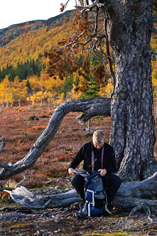 The secret pocket, Kapprukölen, Sweden.