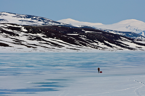 Better late than never, Börgefjell, Norway.