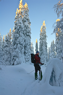 The frozen world, Oxberget, Sweden.