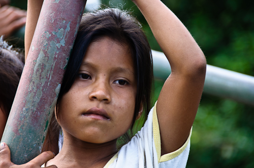 Steel pipes and rainforest, Napo River, Ecuador.