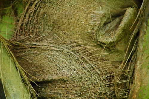 As nature intended fabric, Apia, Samoa.