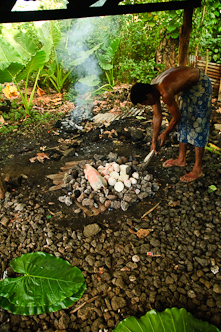 Serious food, Tafua, Savai'i, Samoa.