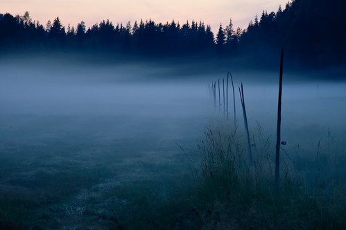 Mystic nights at Tjarn, Sweden.