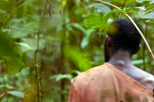 Lost in the wild, Nakavika, Fiji.