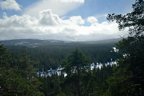 When winter turns to spring, Vålådalen, Sweden.