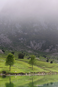 Natural park, Picos de Europa, Spain.